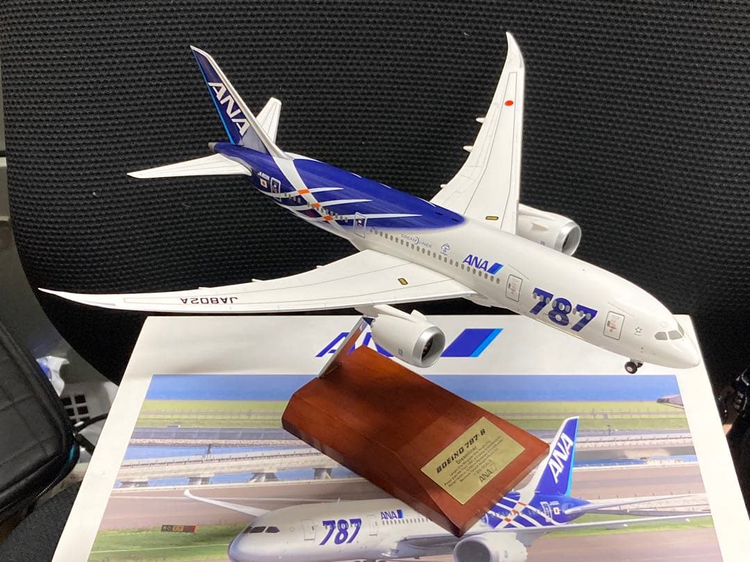 ANA Boeing 787 - 8 特別塗装機 1/200 ANA Boeing 787-8 特別塗装 1:200 全日空 - メルカリ