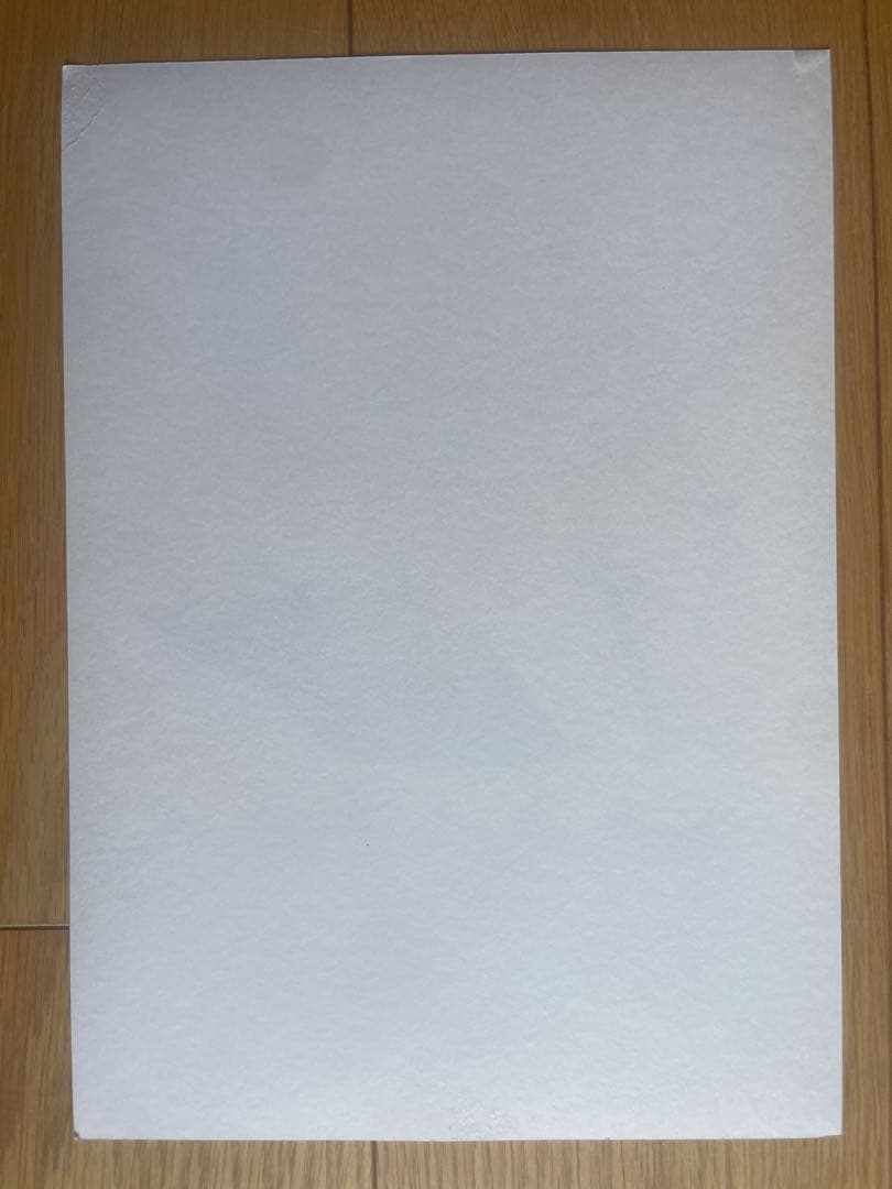 希少　花井祐介　ポスター　a4 hanai yusuke greenroom