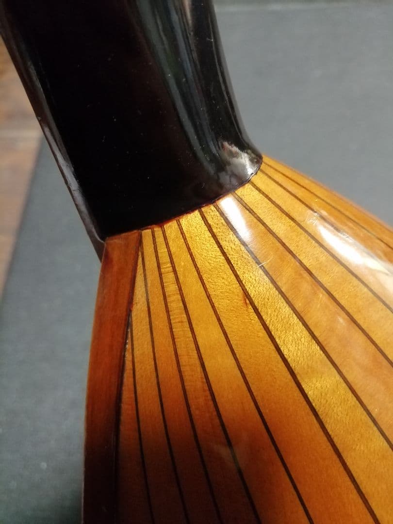 【良品】スズキ SUZUKI マンドラ ケース付き