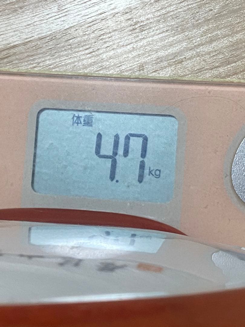 中国 景徳鎮製 鄒國鈞作？抱月瓶(一箇所彩剥がれがあり)引越しのため