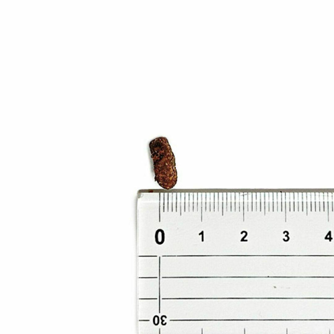 【在庫処分】 オリジン Orijen ツンドラ 全犬種全年齢用 11.4kg