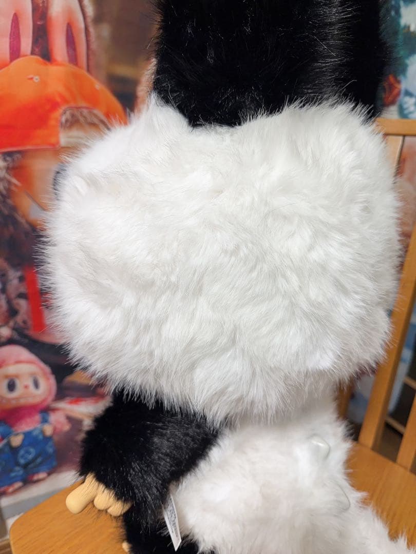 ayuYNhiro　スペシャルオーダー