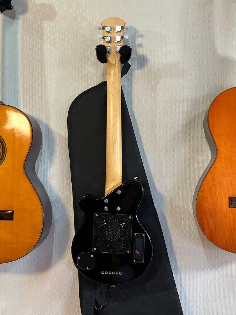 スピーカー音出し確認済み！初心者用ピグノーズ持ち運びに便利！ソフト