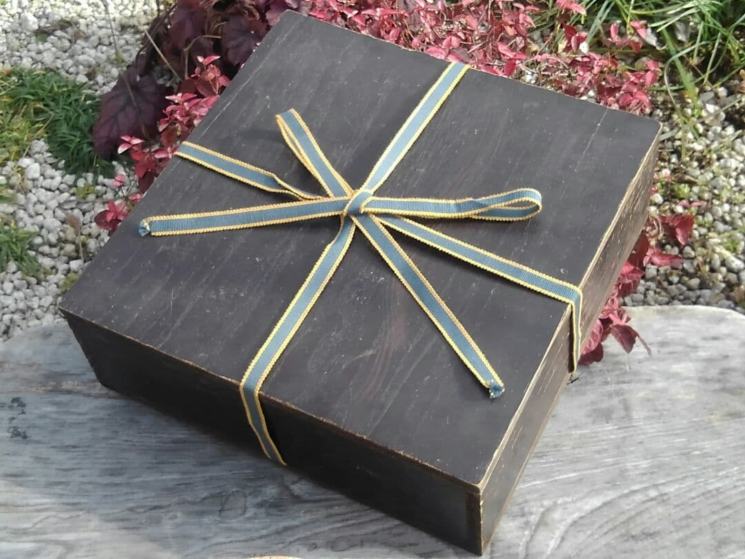 ♥美濃焼　志野　向付　五客揃い　桐箱付き