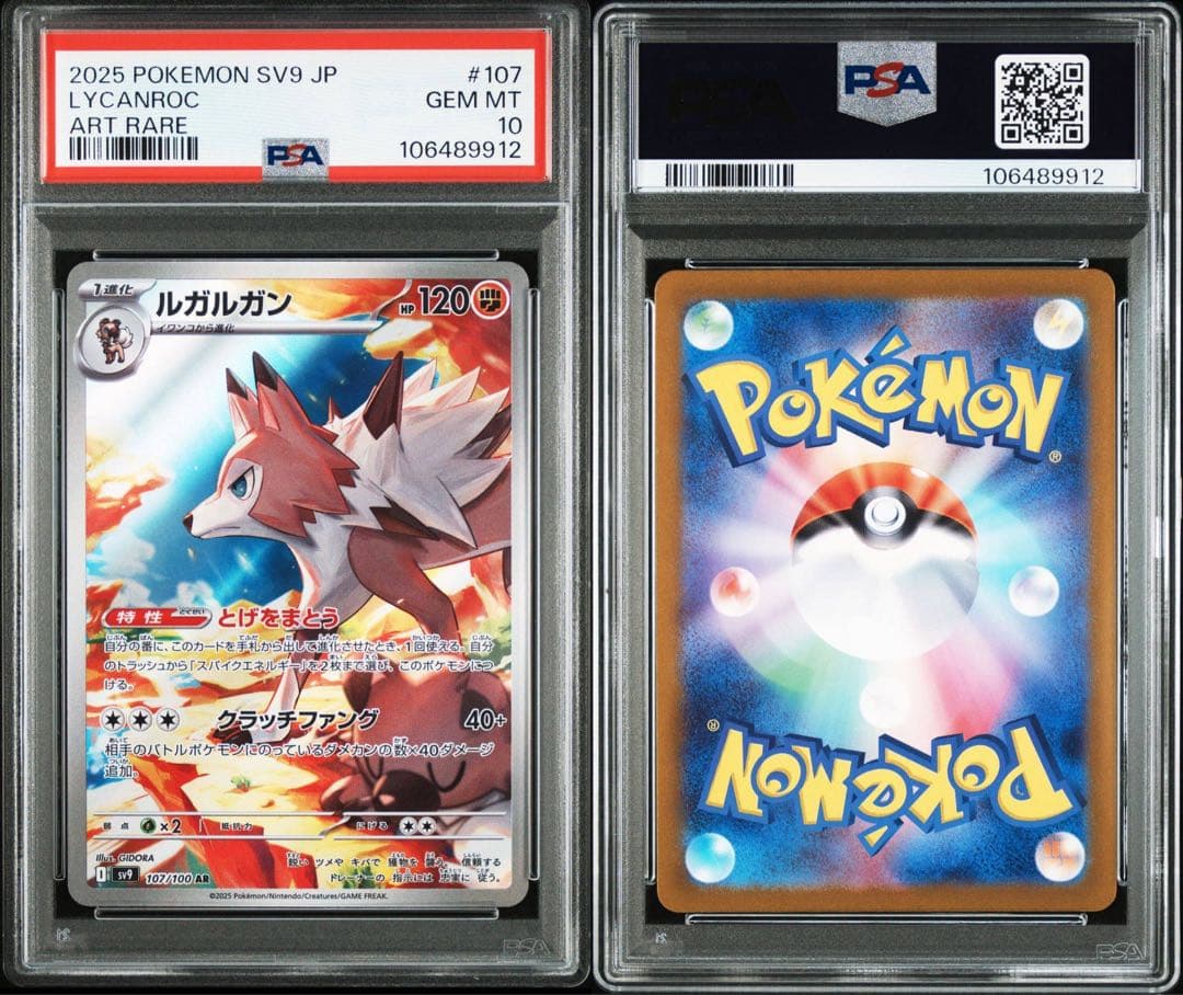 パドルパートナーズar psa10 12連番　ポケモン　リーリエ　N ナンジャモ