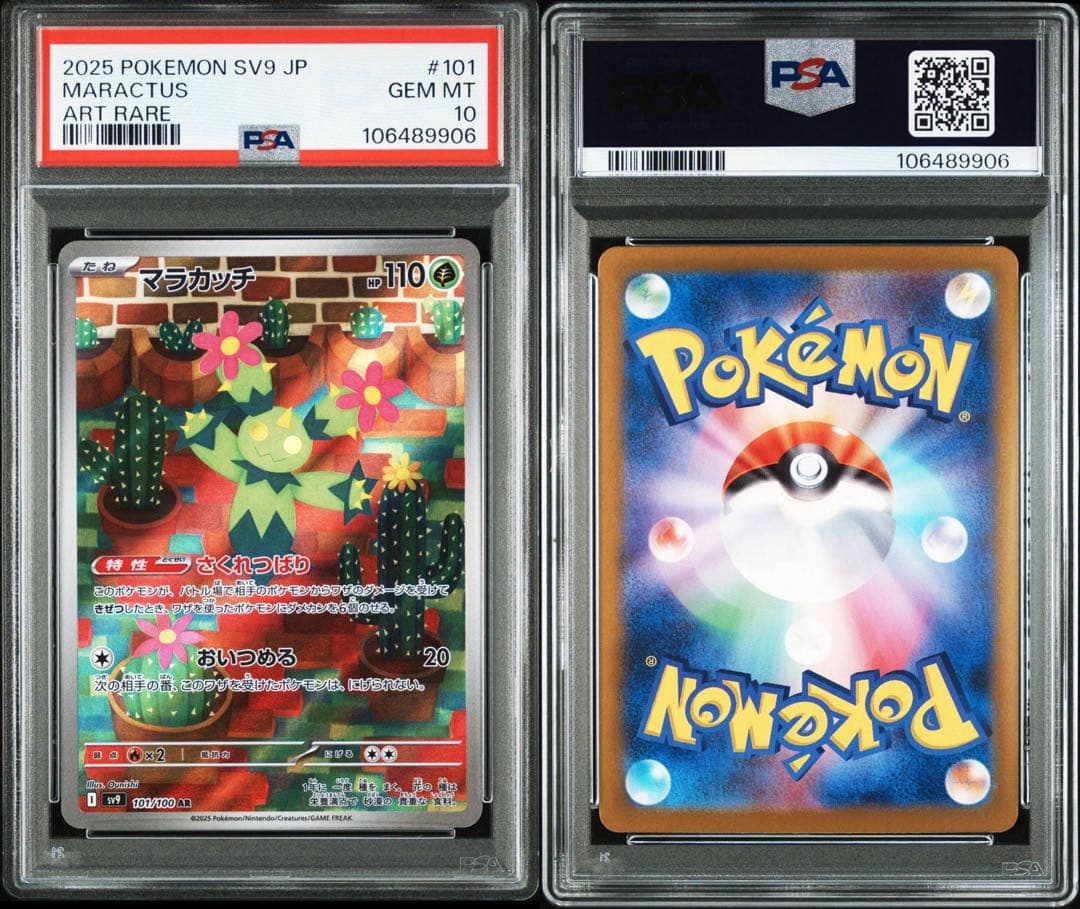 パドルパートナーズar psa10 12連番　ポケモン　リーリエ　N ナンジャモ