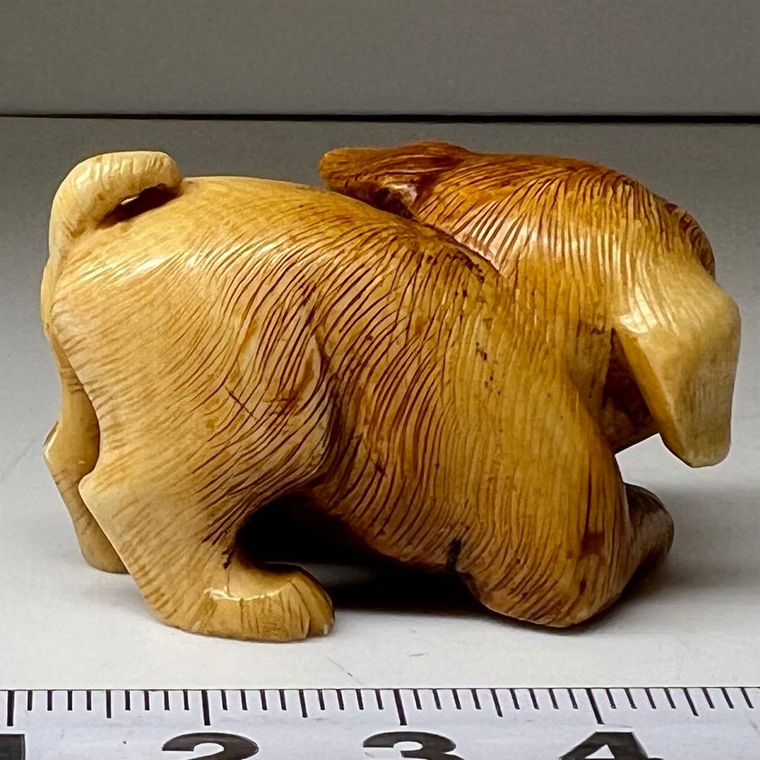 極上 犬とカエル 根付 寛公銘 29g 東キ8-0204☆2F タルサ - メルカリ