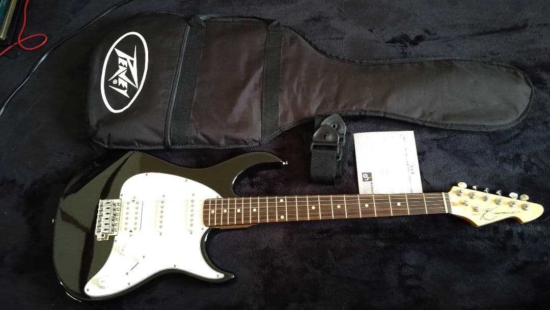 ギター PEAVEY RAPTOR PLUS EXP Amazon.com: Peavey Raptor Plus Black Electric Guitar : Musical