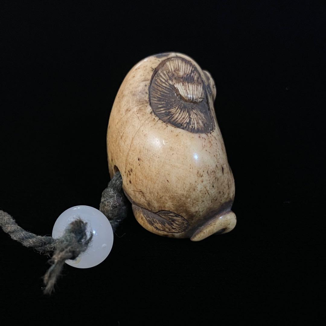 提げ物根付骨材犬天然素材在銘友一彫刻