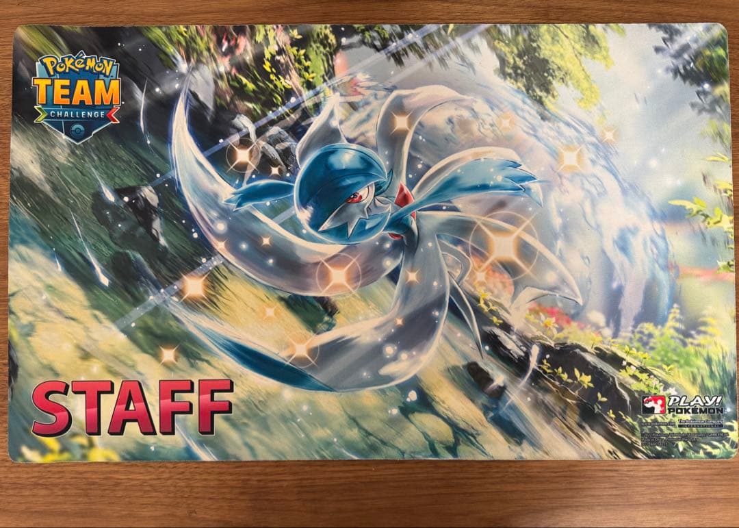 カウンターブリッツ コレクター版 日本語 外箱傷あり