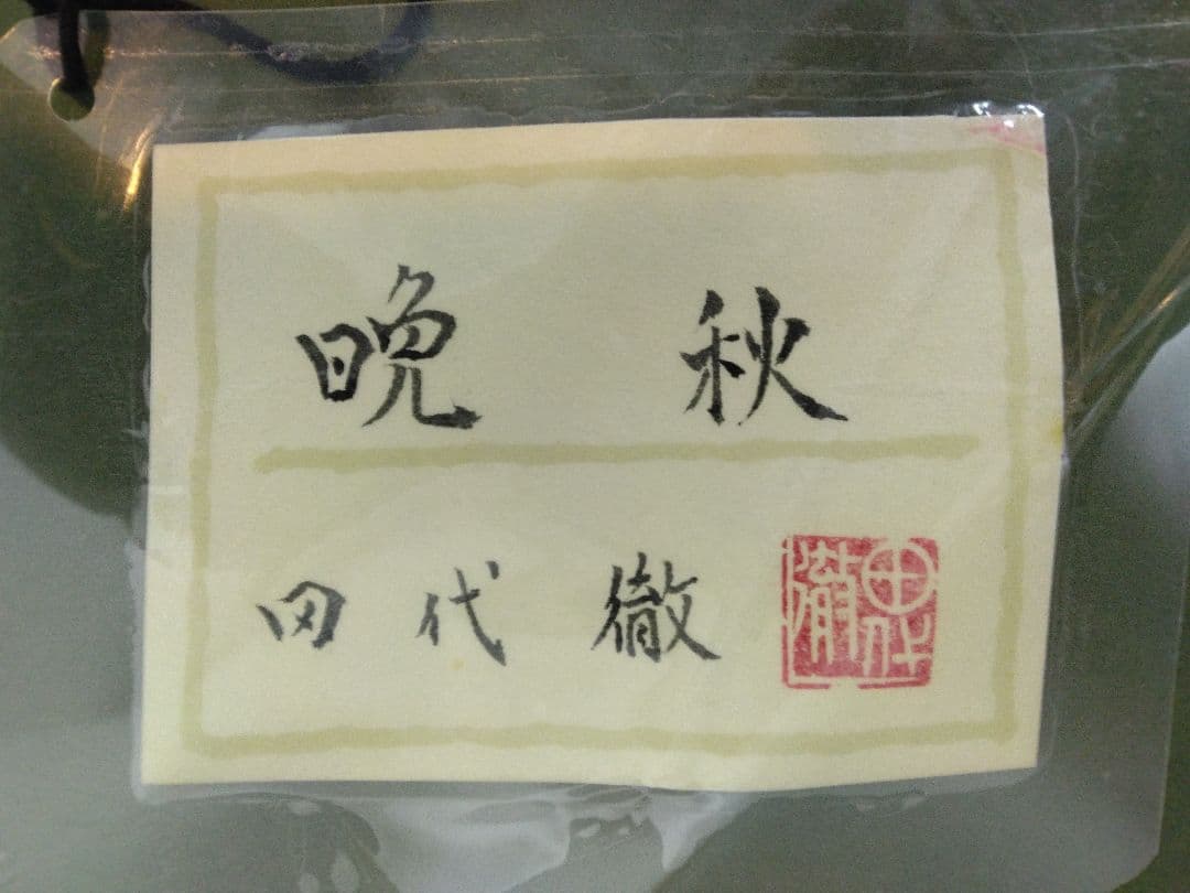 田代徹【晩秋】顔彩　額装