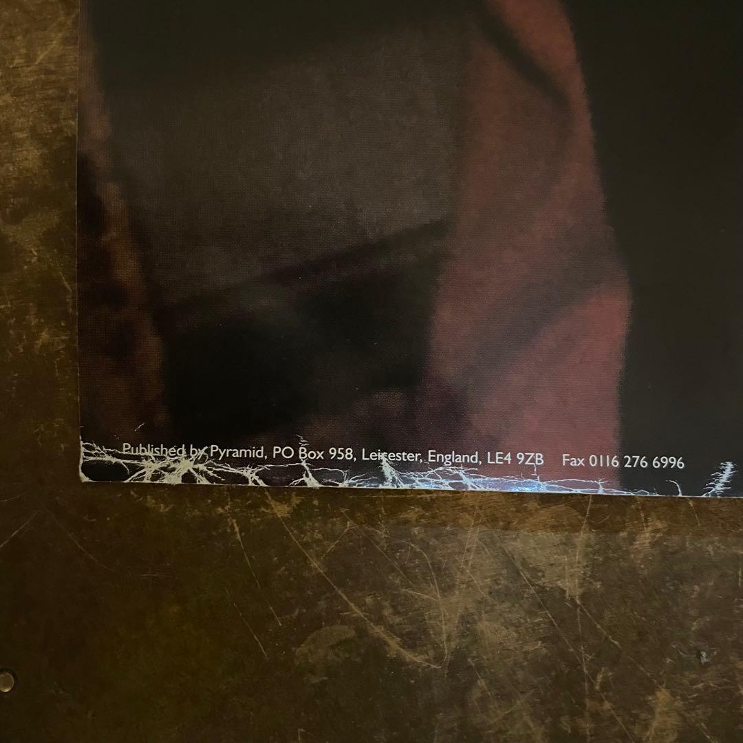 90s デッドストックKORN 大判ポスター Amazon.co.jp: Korn ポスター