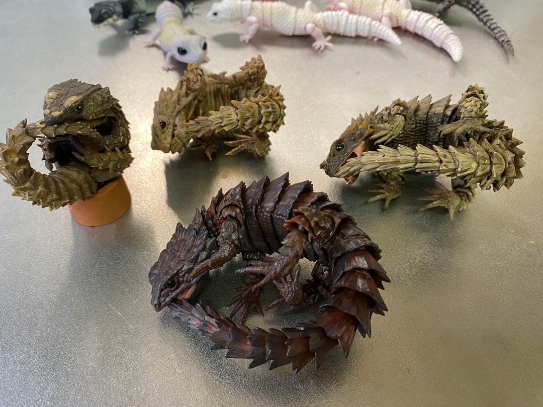 アルマジロトカゲ ほか 11体セット いきもの大図鑑 トカゲ