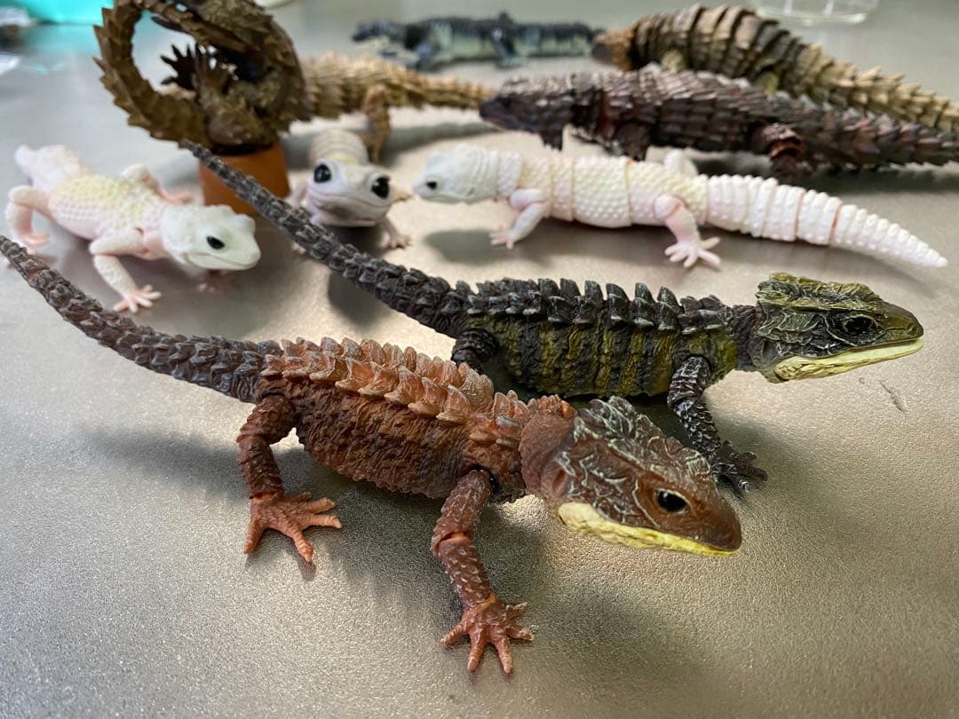 アルマジロトカゲ ほか 11体セット いきもの大図鑑 トカゲ