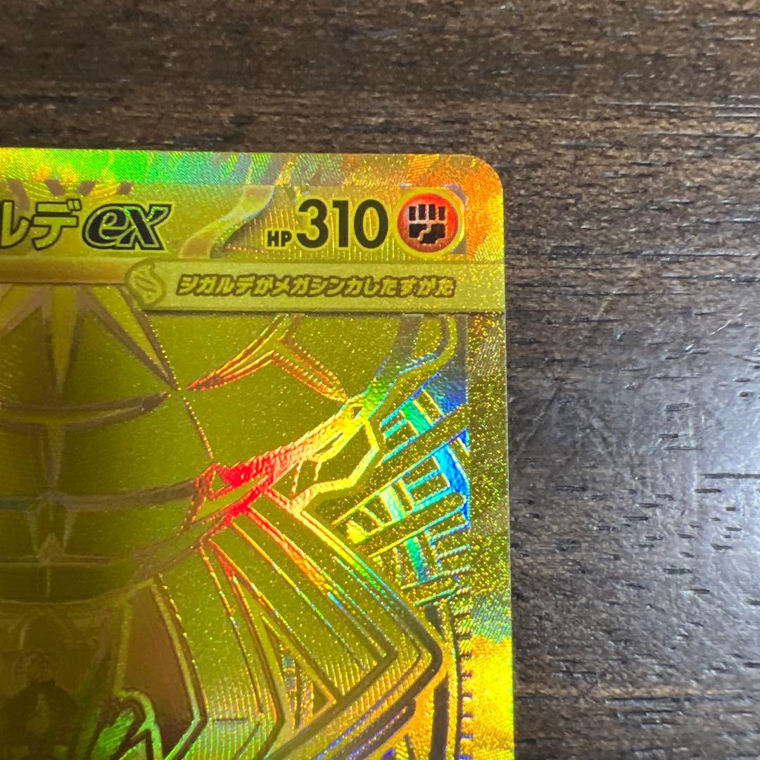 ポケモンカード　メガジガルデ　MURとSAR