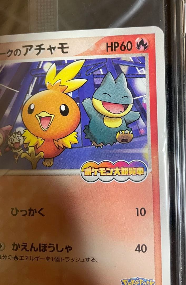 ポケパークのアチャモ　ポケパークのゴンベ　未開封　ポケモンカード