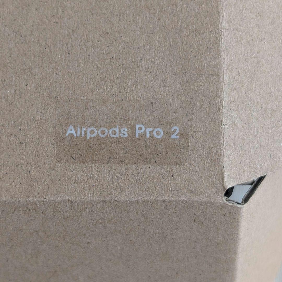 CASETiFY ちいかわ うさぎ イヤホンケース AirPods Pro2