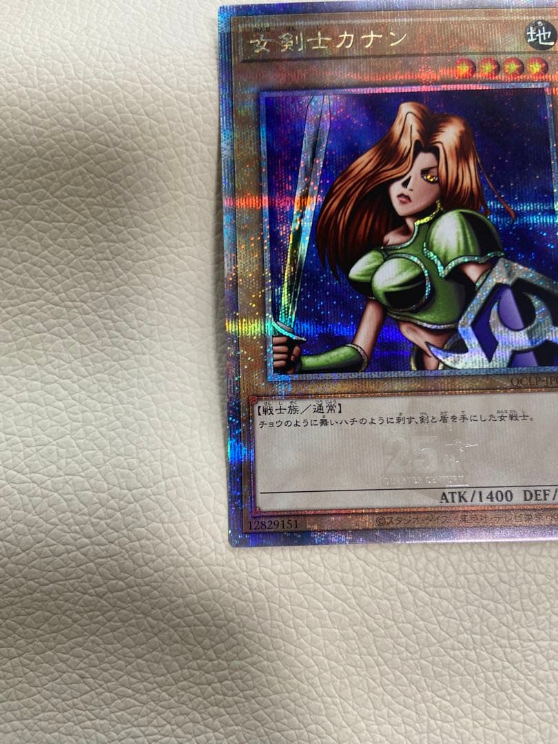 テイコウペンギン　女剣士カナン　25th クオシク