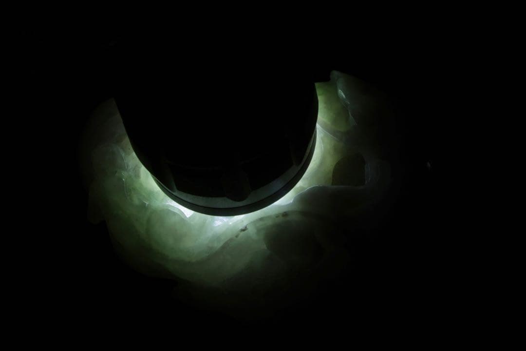 中国美術】 ラベンダー翡翠 紫翡翠手彫 細密彫刻 龍紋 握り石 根付 紐付