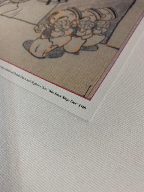 額装品/Mr. Duck Steps/ディズニー/ポスター/インテリア