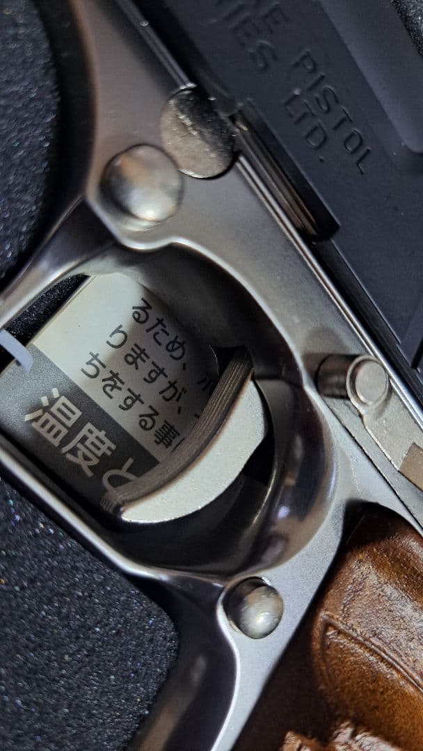 BIOHAZARD 2 10インチカスタム