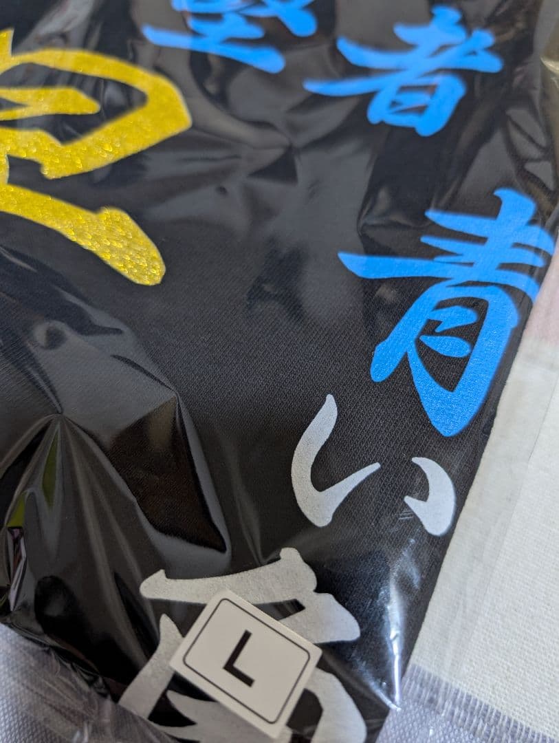 氣志團　焼津公演限定　早乙女光Tシャツ　Lサイズ ① 氣志團 焼津公演限定 早乙女光Tシャツ Lサイズ ② 氣志團 焼津公演