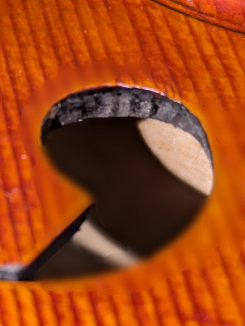 kaekae専用】チェロ 4/4 2000年制 Walter S. Chen - メルカリ