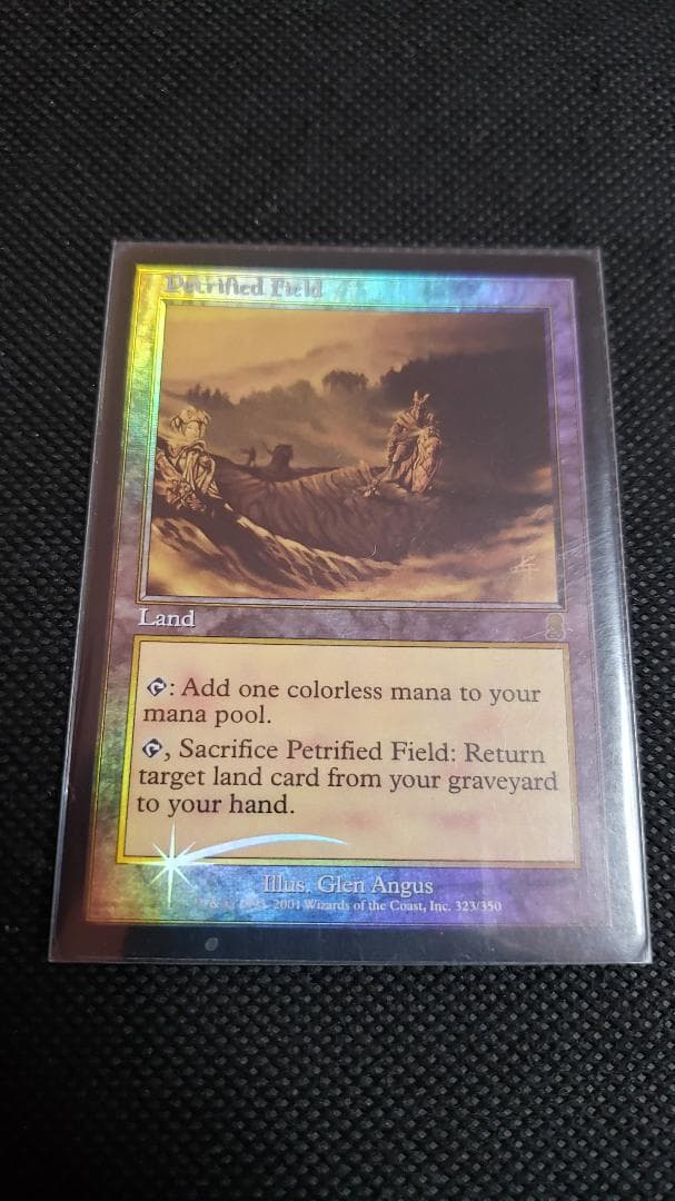 MTG 石化した原野 英語 foil 初版 MTG 石化した原野 英語 foil 初版 MTG 石化した原野 英語 foil 初版