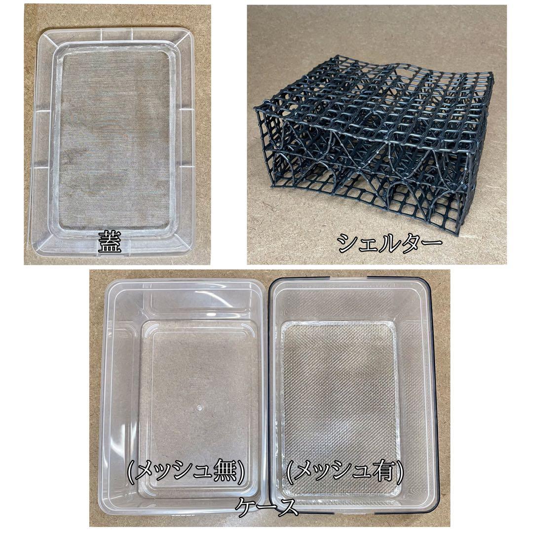 ミッキー1960様 S(フル)