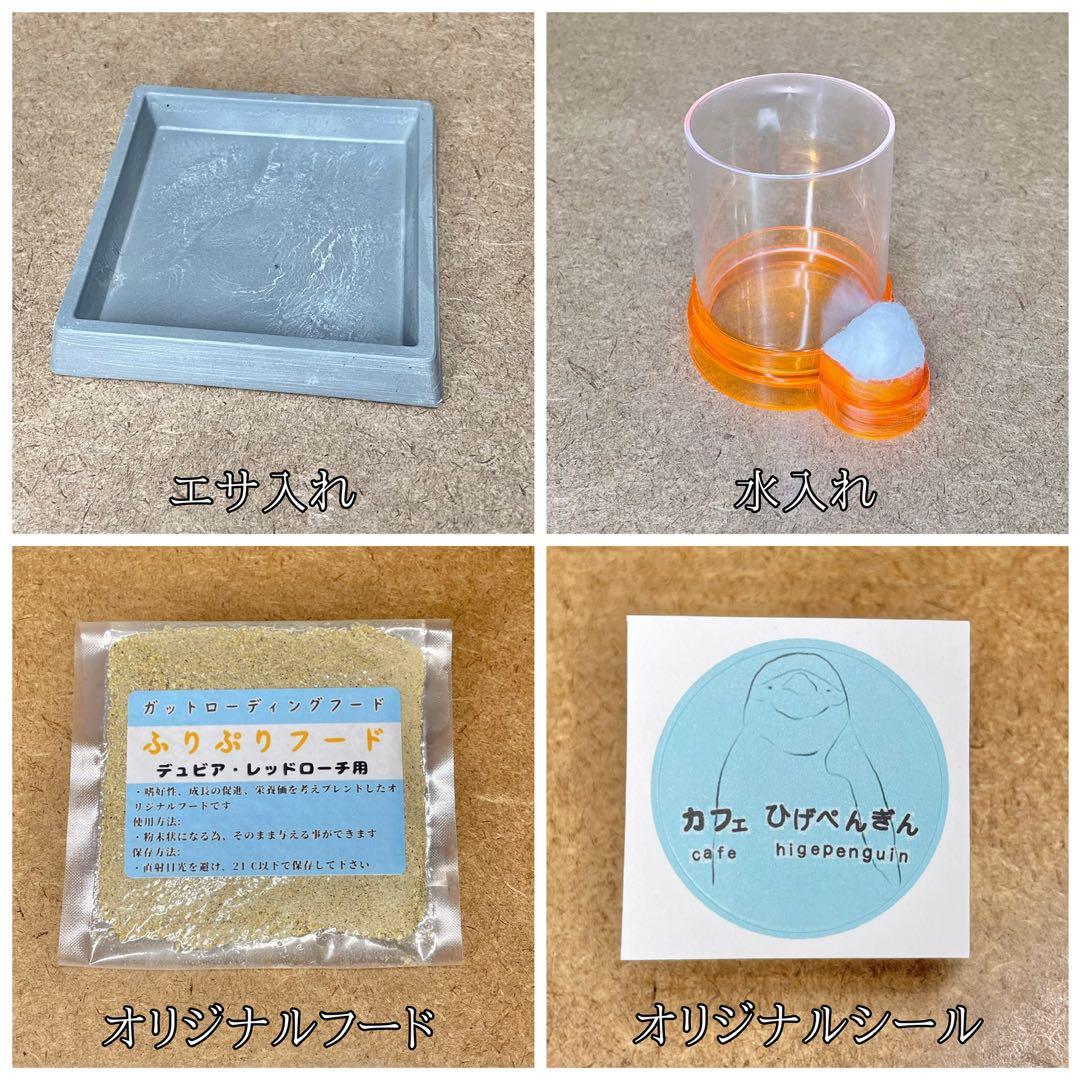 ミッキー1960様 S(フル)