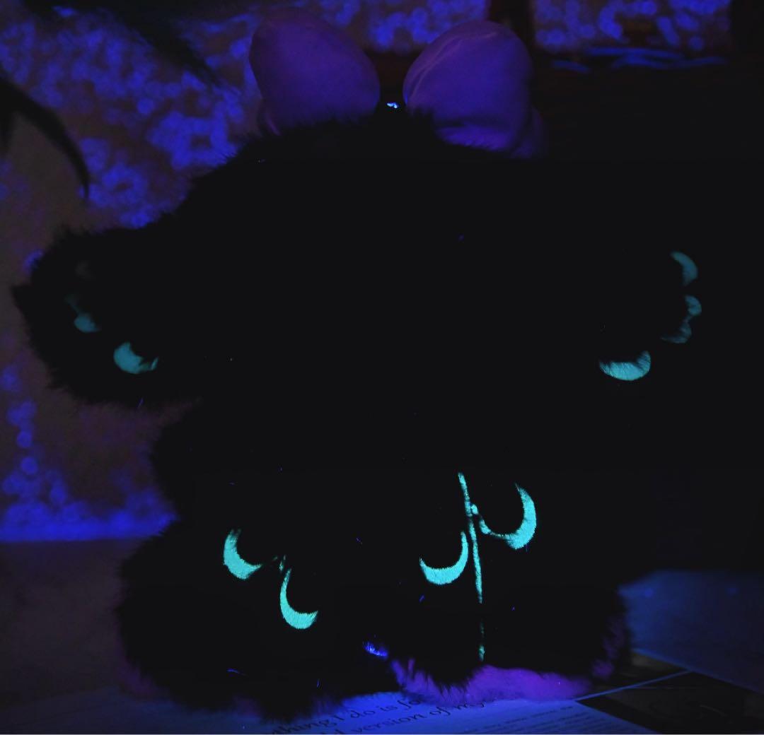 Fantasy World nommi 異世界 1ケース 未開封 シクレも？