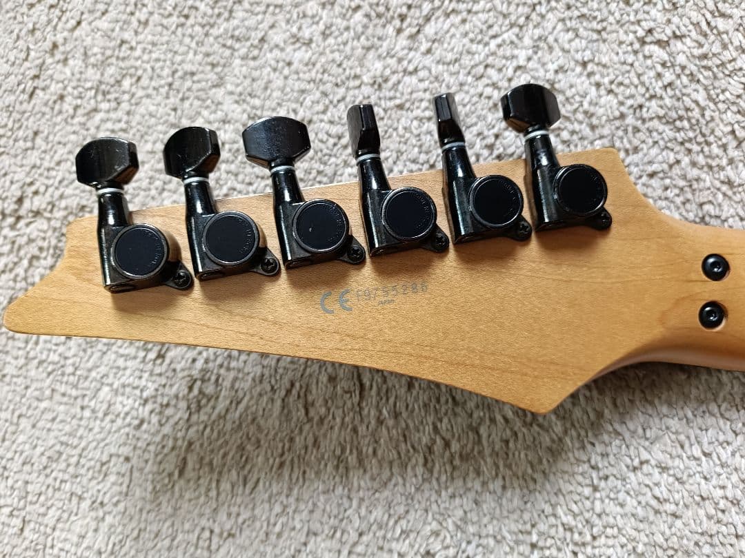 【日本製フジゲン】Ibanez RG685 Burnt Trans Purple