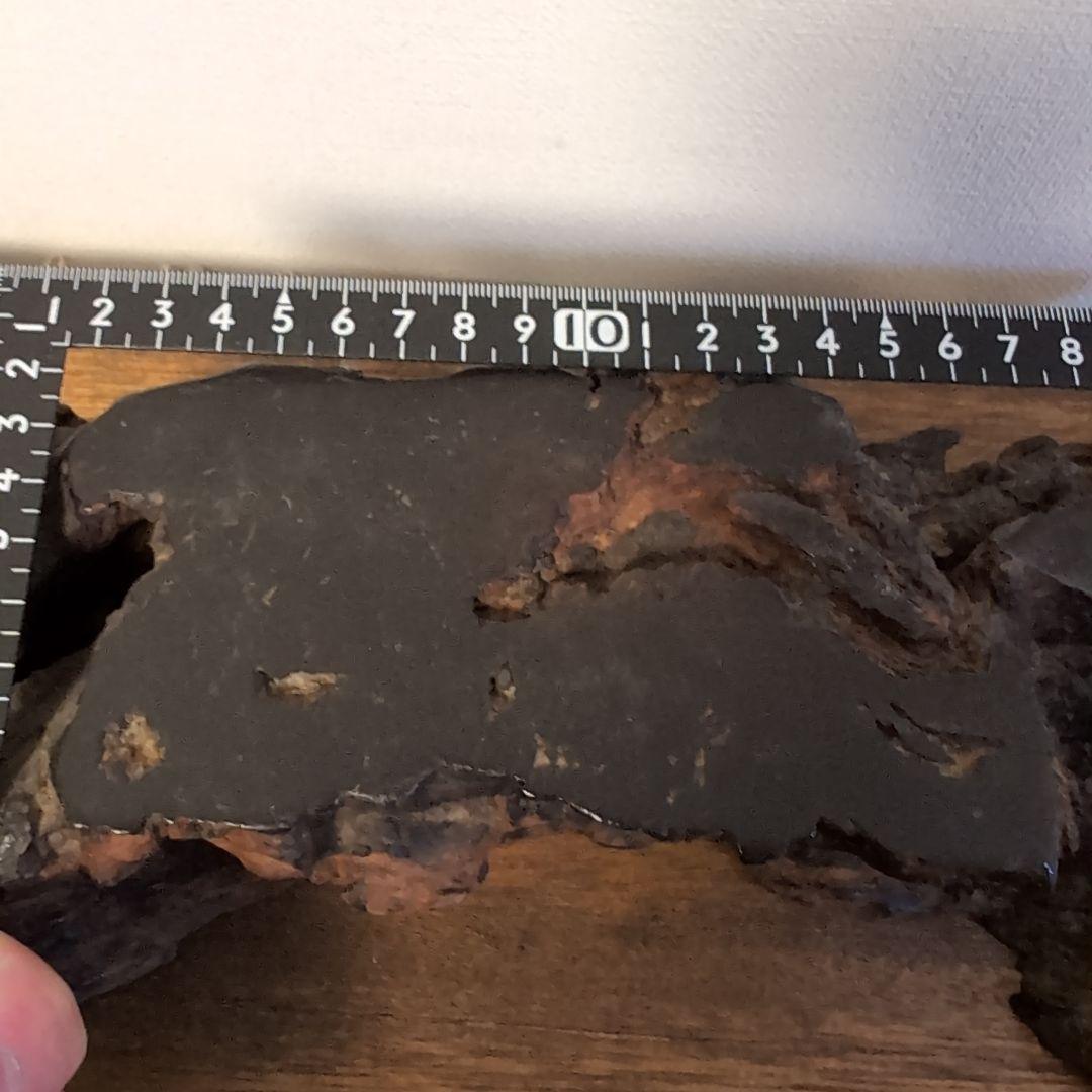 枯木 古木 木製仏像台 黒漆塗り 波濤彫刻 古美術 骨董