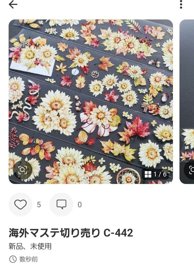 みどちゃんページ