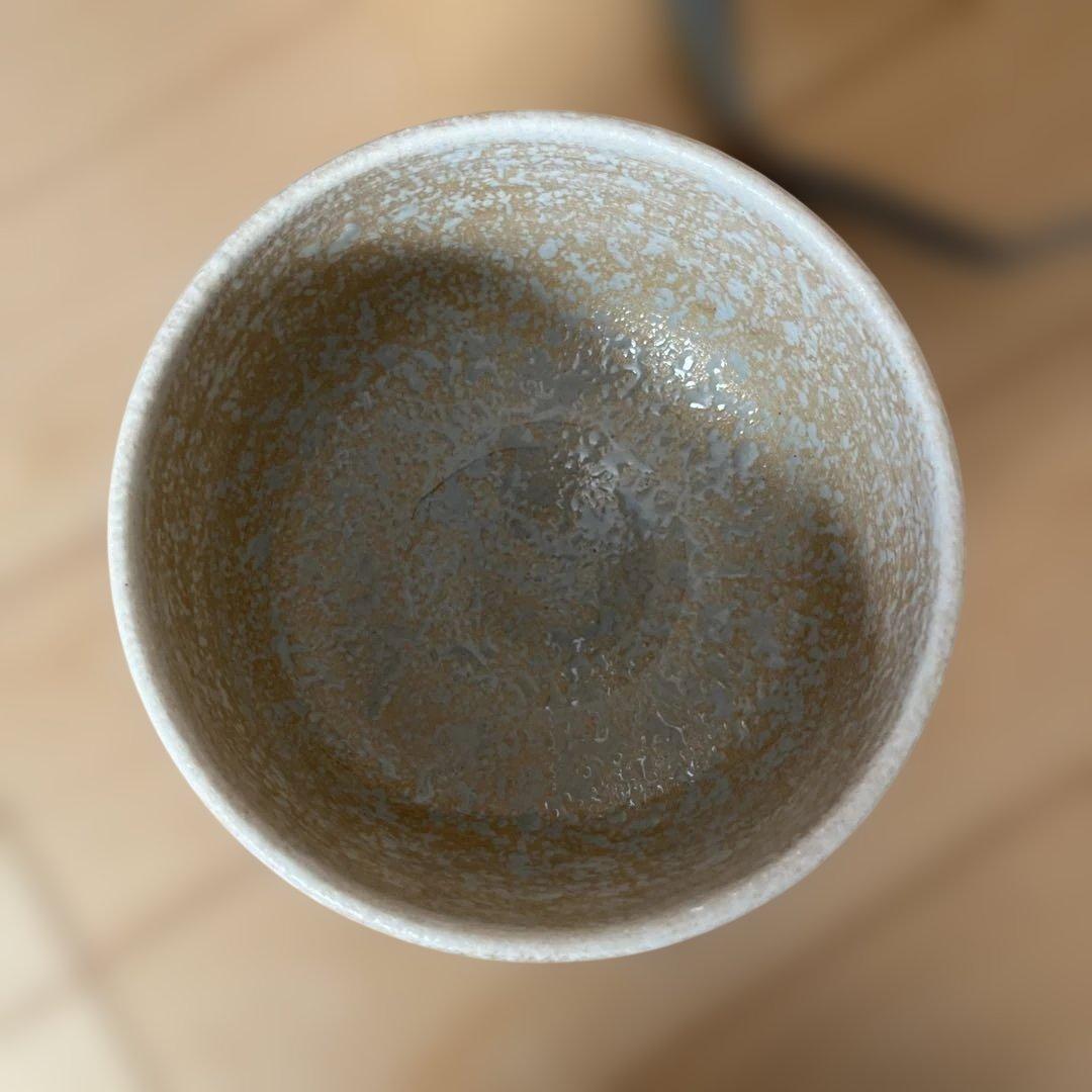 京焼　京都清水焼　日展作家　寺池静人 　彩金椿文　茶碗