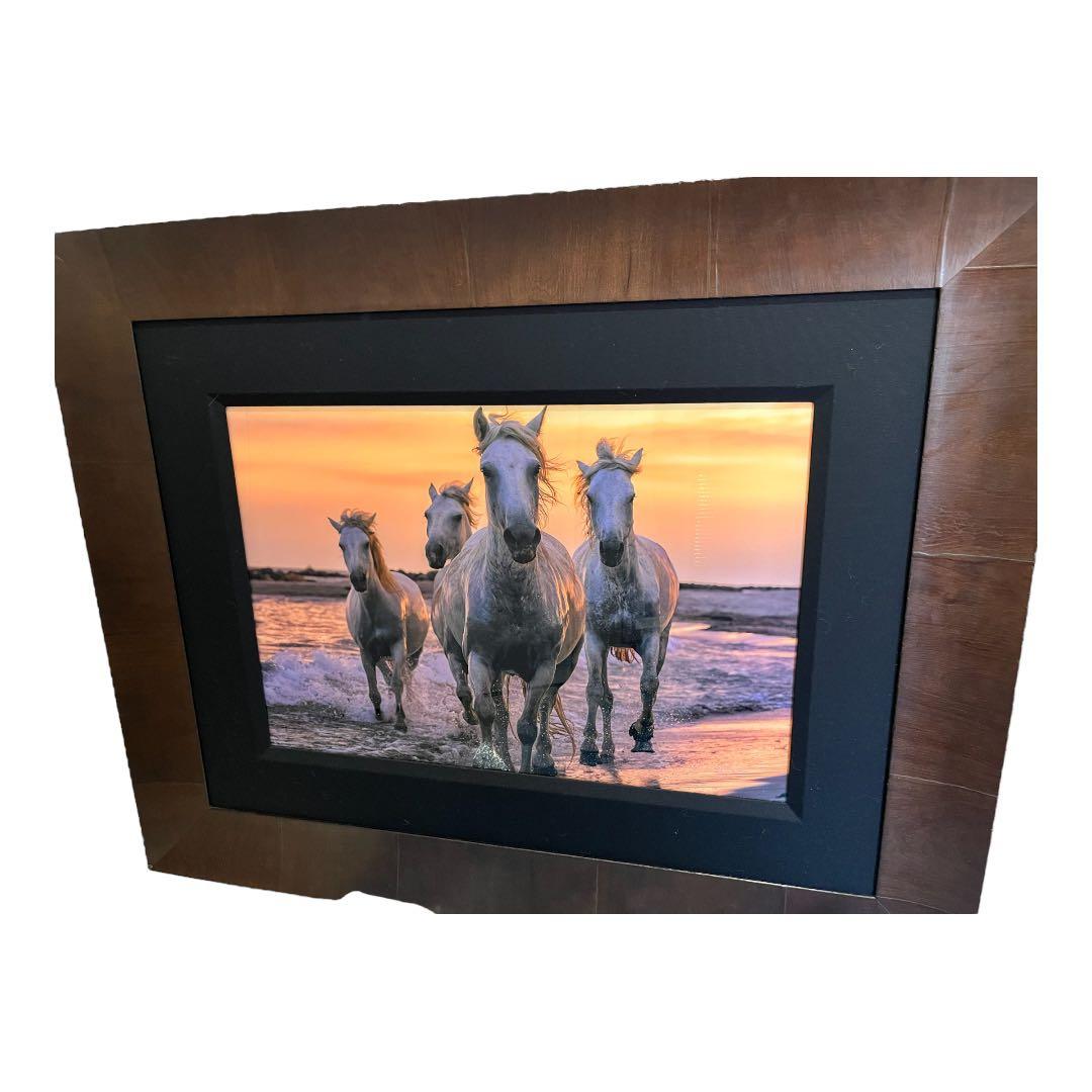 《元値150万円》ピーターリク　Running Free