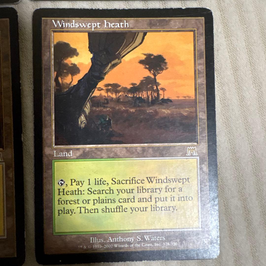 MTG 吹きさらしの荒野 4枚セット