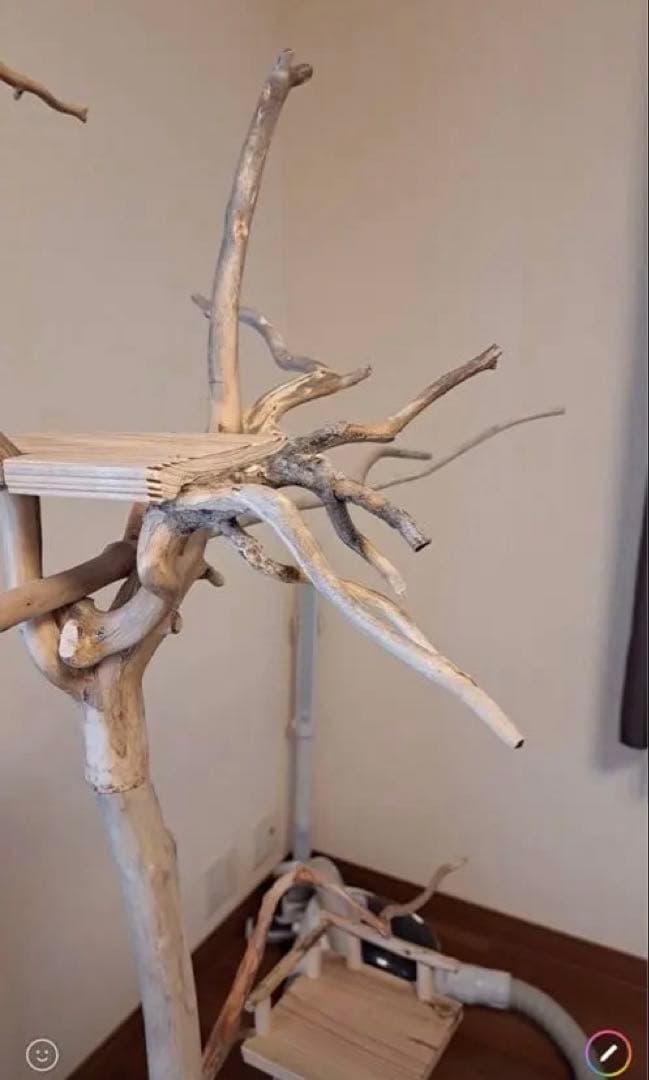 ぴあ グッズ整理中さまの通販はau PAY マーケット - 輸入雑貨のネット