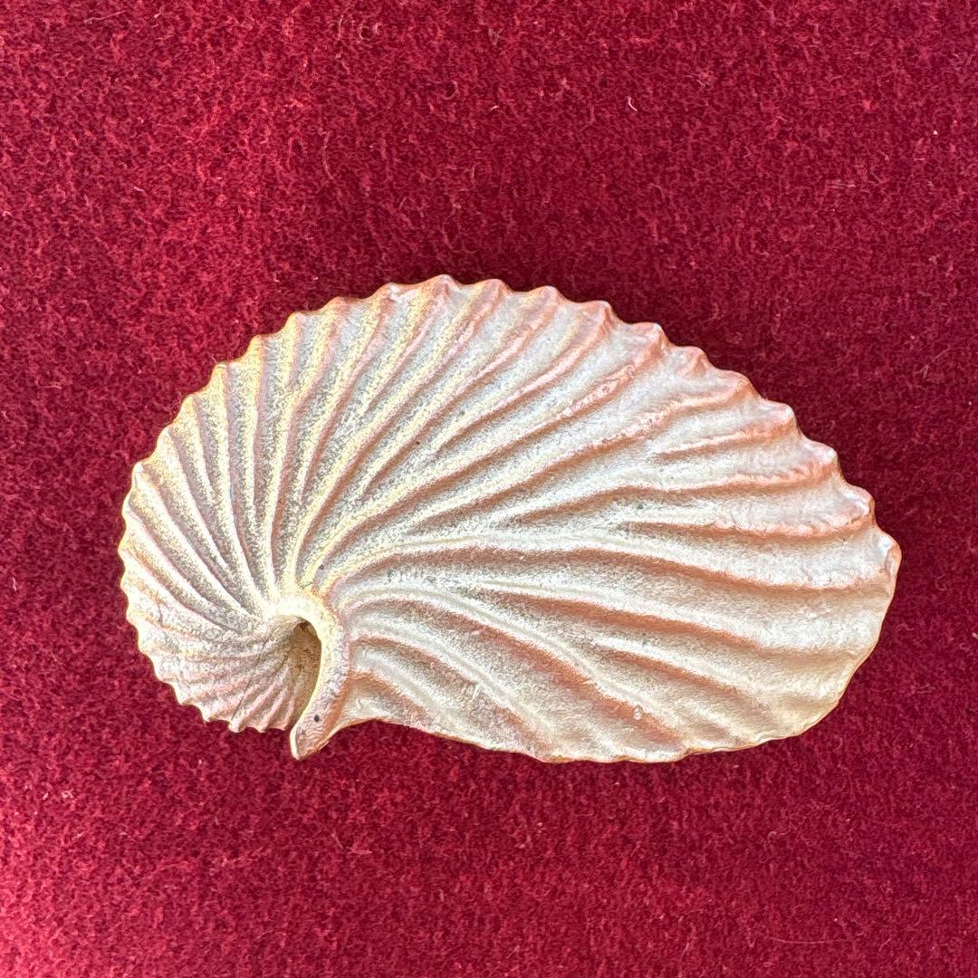 Atelier Junko シェル型カードスタンド 4個セット