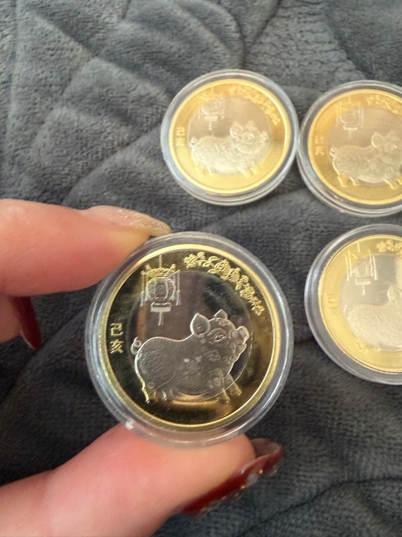 中国記念硬貨 2019年十二支 イノシシ 記念10元 未使用 10枚セット