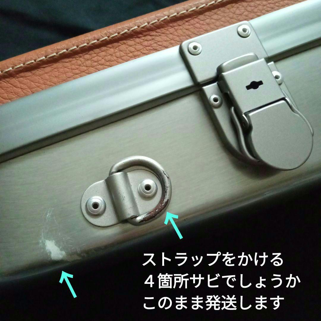 bam I'original Violin Case　FRANCE