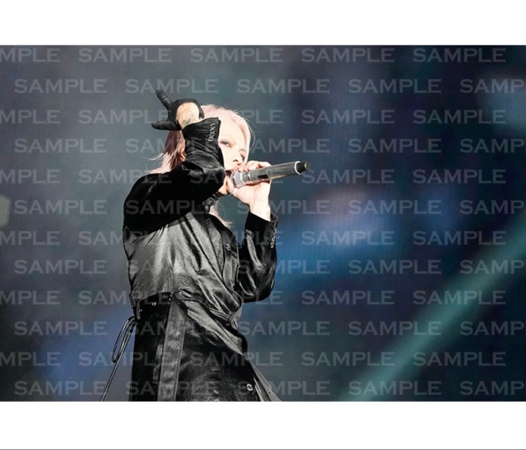 ラルク フォトブック ライヴ写真集 ラルクアンシエル L'Arc-en-Ciel