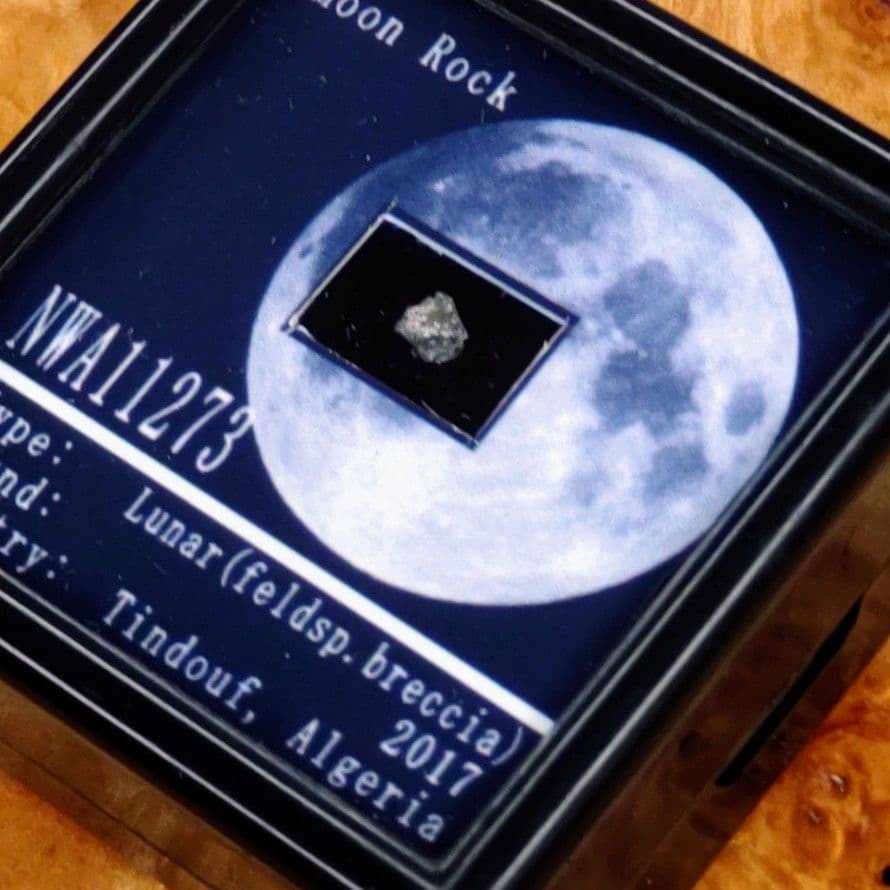 ブルース・キャンベル 直筆サイン入り写真 UACCrd証明書付き