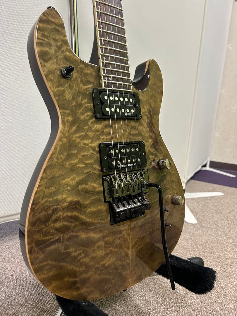 フェルナンデス APG-85S サスティナー