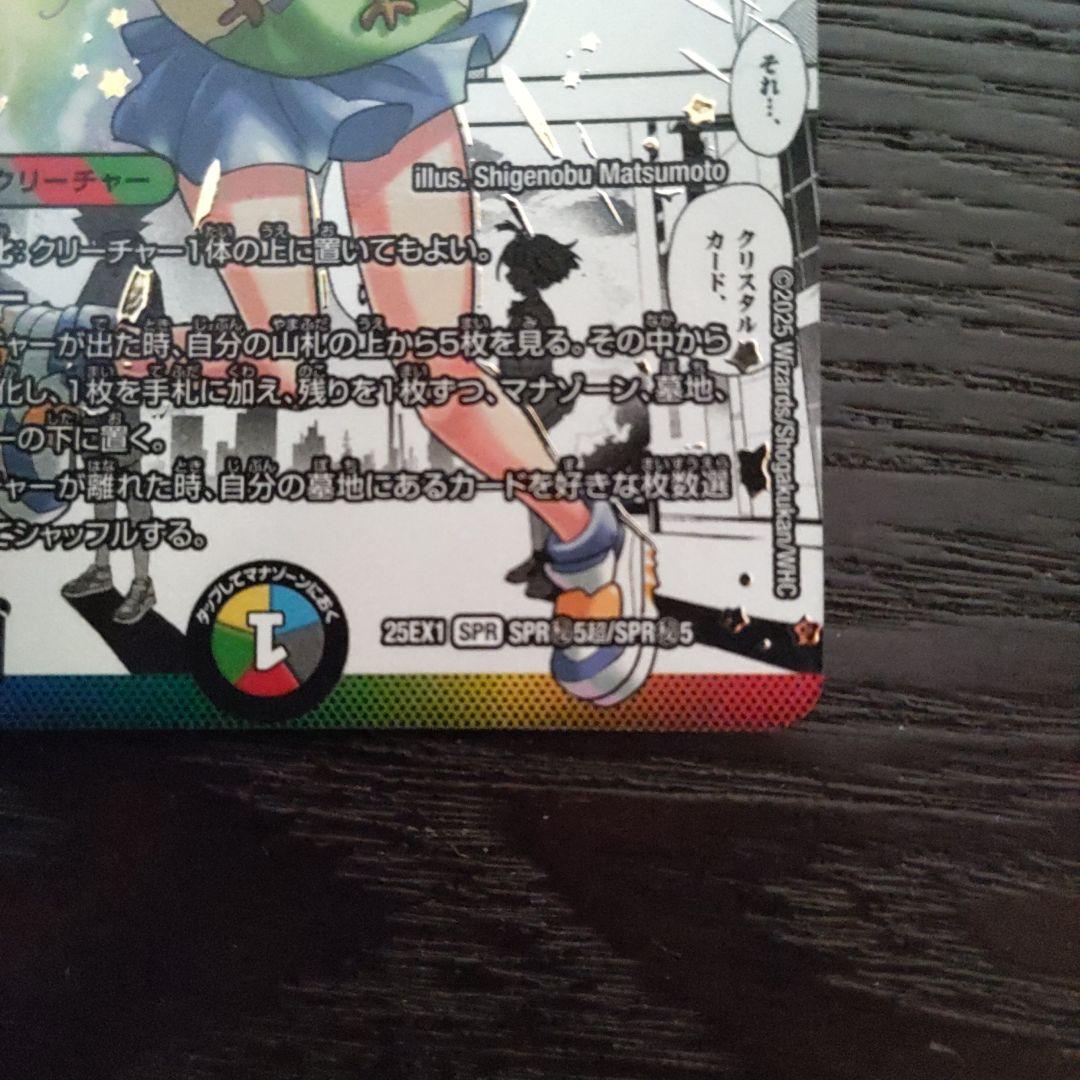 ラブエクスパンション　シク　1枚