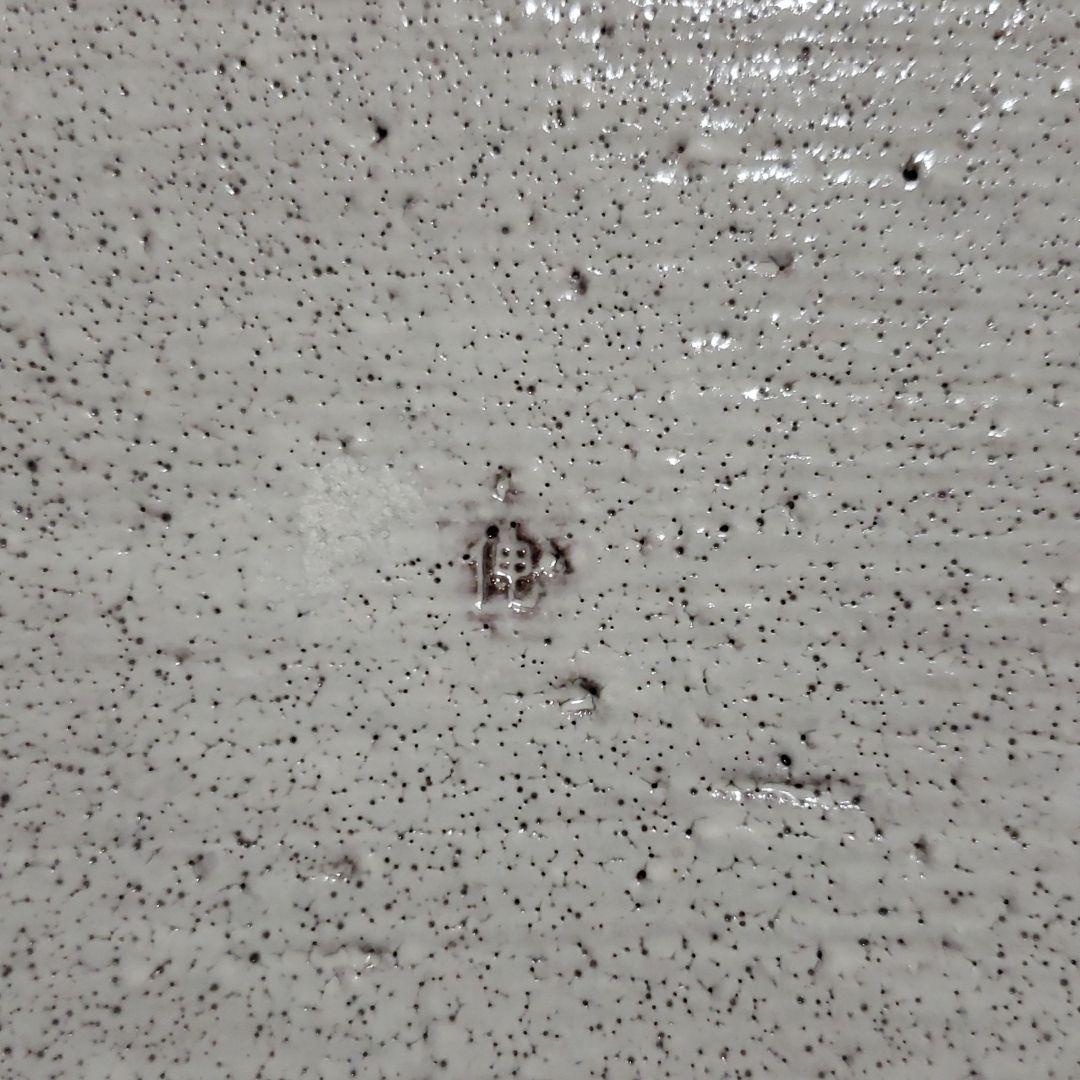 京都府無形文化財保持者　木村盛伸作　粉引手　大皿