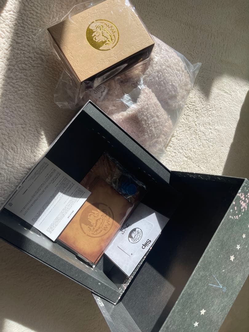 Siip ガイア 完全生産限定盤 グッズ BOX