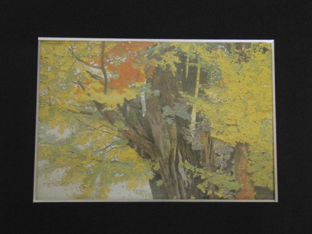 小谷津雅美、【悠久の賦】、希少な額装用画集より、新品額装付