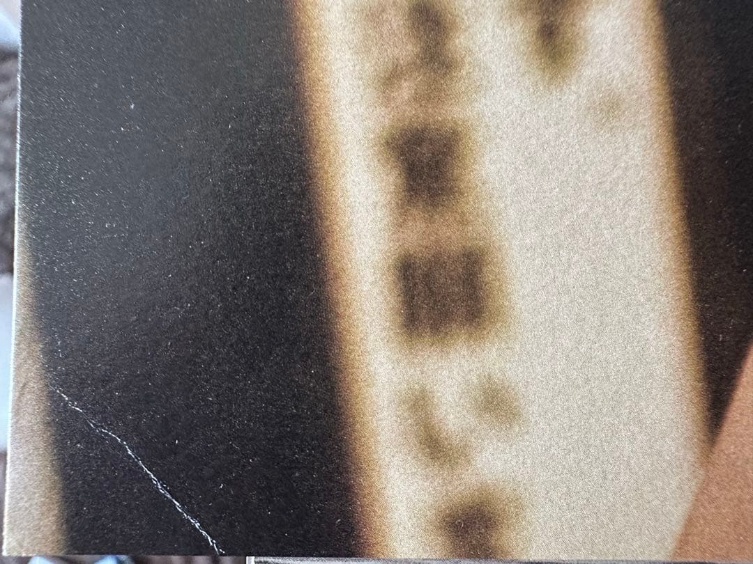 本田響矢 カレンダー2024 卓上カレンダー＆壁掛けカレンダー　俳優展写真ブック