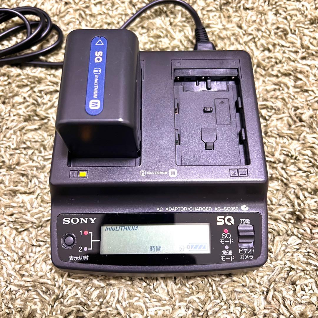 通電OK SONY DCR-TRV30 miniDV ハンディカム 現状渡し